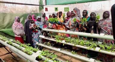 Women from internally displaced families are growing vegetables using hydroponic gardens in Camp Zamzam in North Darfur 